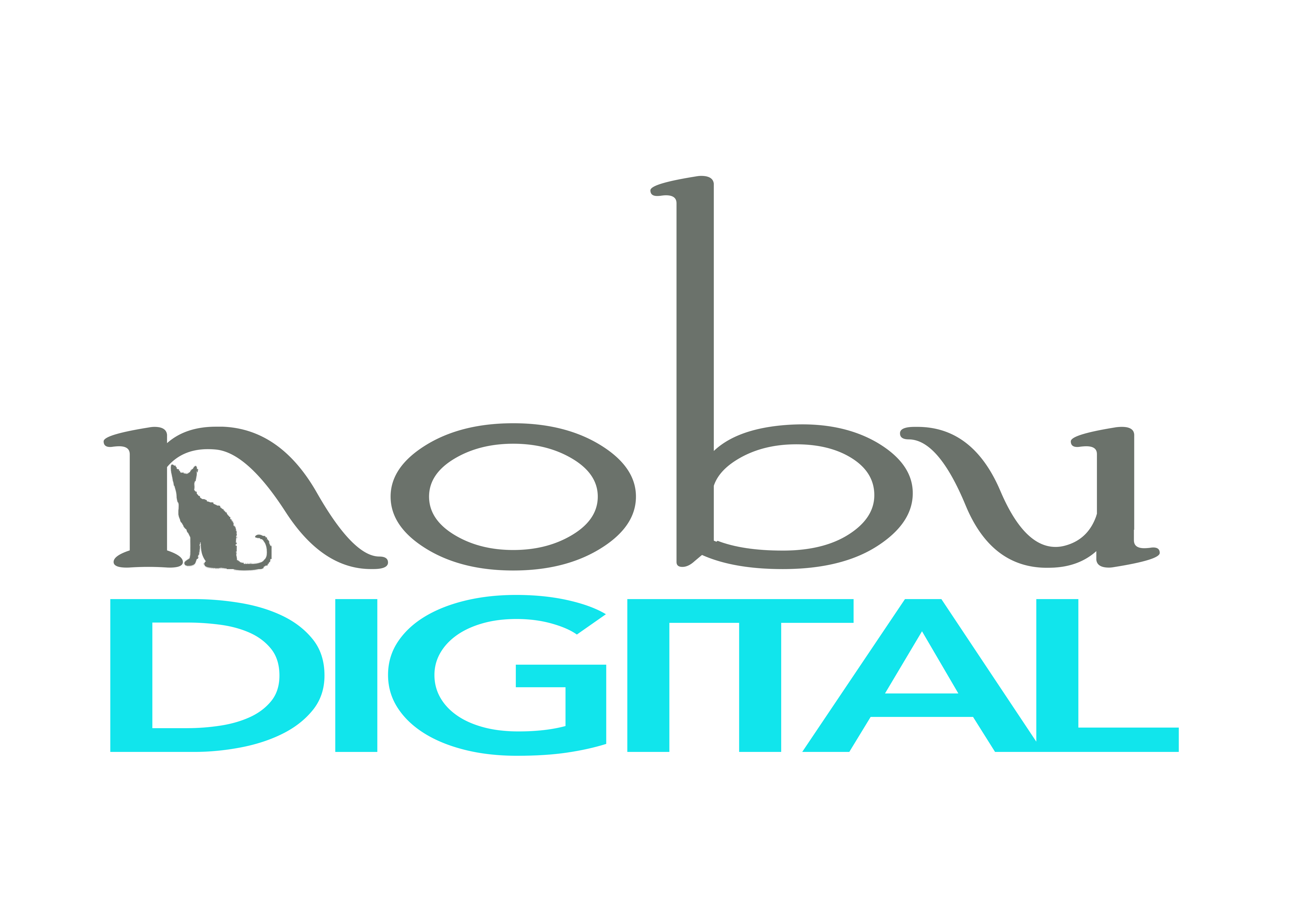 Nobu Digital